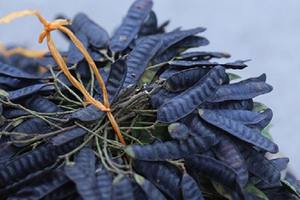 ผลไม้ตั๊กแตนแห้ง-อัดแน่นด้วยสารอาหารจากธรรมชาติเหมาะสำหรับการสร้างสรรค์อาหาร-คุณเอลิท - Product Image 2