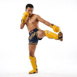 Équipement de protection de qualité export pour le Muay Thai : gants de boxe, protège-tibias, protège-guêtres, protège-têtes, équipement de boxe. - Product Image 1