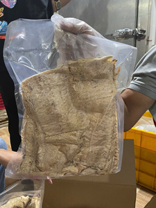 Pulpo Seco Enrollado, el Más Vendido, Pescado Sostenible, Sabor Intenso, Alto Valor Nutricional, Listo para Comer, Caja de Cartón de 10 kg, Lavado a Máquina - Product Image 6