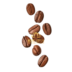 เมล็ดกาแฟโรบัสต้าคั่วกลาง คุณภาพสูง บลูโลตัสฟาร์ม เวียดนาม กาแฟออร์แกนิค รสหวาน หอม กลมกล่อม เกรดพรีเมียม - Product Image 1