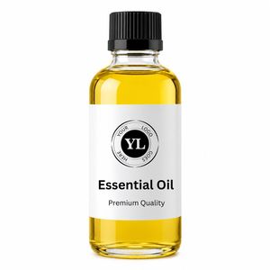Manufacturer & Bulk Supplier Ajwain Seeds Essential Oil Pure Nature <b>Steam</b> Distilled - Product Image 2