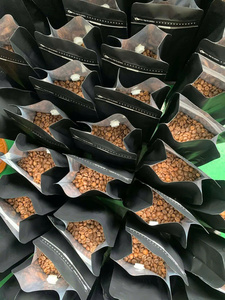 เมล็ดกาแฟคั่ว EM พร้อมโลโก้แบรนด์ของคุณ บริการบดตามสั่ง คั่วสดใหม่ตามความต้องการ สำหรับธุรกิจระดับโลก - Product Image 4