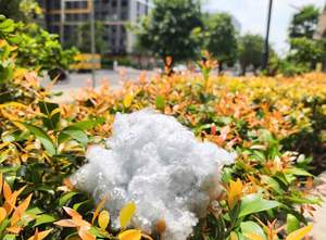 Fibra Hueca Conjugada HCS de 7Dx32mm, Sin Silicona, 100% Poliéster, Antiestática, Reciclable, Material de Relleno para Hilado - Product Image 3