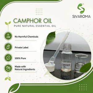 Fournisseur en gros d'huile de camphre de qualité supérieure pour la fabrication de parfums, les formulations aromatiques, les applications industrielles et la vente en gros mondiale - Product Image 2
