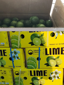 มะนาวไร้เมล็ดพรีเมียมจากเวียดนาม – สดใหม่ ฉ่ำ ไม่มีเมล็ด คุณภาพสูงสำหรับการส่งออก - คุณโซฮี - Product Image 4