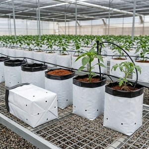 Wholesale Plastic Coconut Coir Grow <b>Bags</b> for Mushroom Grow & <b>Nursery</b> Use Eco-Friendly Hydroponics Greenhouse Indian Made Black - Product Image 2