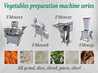 Elektrische multifunctionele groentesnijder 220V motor voor thuisgebruik, hotels, restaurants, bakkerijen. Nieuw, hoge efficiëntie snijden.