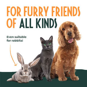 Tijeras Profesionales para Cortar Uñas de Mascotas con Cuchilla Curva y Punta Afilada para el Cuidado de Perros y Gatos, Herramientas de Aseo - Product Image 6