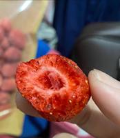 Premium Gedroogde Aardbeien Bulk Natuurlijke Knapperige Fruitsnack Vacuüm Verpakt OEM Groothandel - Mevr. Tarina