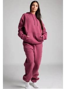 Ensemble deux pièces décontracté pour femme : sweat à capuche uni à manches longues et pantalon de survêtement ample pour l'automne et l'hiver - Product Image 3