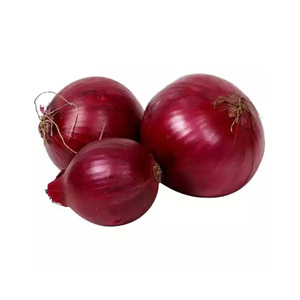 Top Selling Premium Quality New Crop <b>Fresh</b> <b>Vegetables</b> <b>Fresh</b> Red Onion at Factory Price from Egypt - Product Image 1