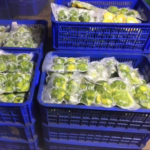 AVOCAT CONGELÉ FRAÎCHEMENT PRÉPARÉ DU VIETNAM, RICHE EN NUTRIMENTS, ALIMENT SAIN - Product Image 1