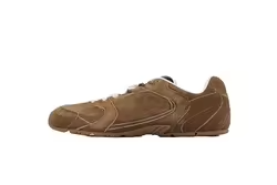 สีน้ำตาล