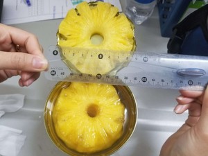 Vendite calde affettato ananas in scatola // frutta tropicale di alta qualità dal VIETNAM // Ms. Beatrix
