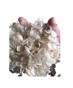 เกล็ดปลาแห้งสำหรับการผลิตคอลลาเจนและเจลาติน เกล็ดปลาทิลาเปียที่ขจัดแคลเซียม (Sandy 84587176063) - Product Image 1