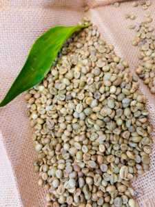 Fabricante Directo de Granos de Café Verde # Arabica Full Washed Crop 25-26 – Se Aceptan Pedidos al por Mayor Origen Vietnam - Product Image 1