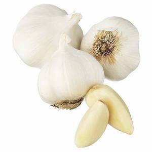 Premium Quality Non-GMO and Aromatic Flavor Fresh Garlic for Cooking Seasoning and Food Processing From India - Product Image 1