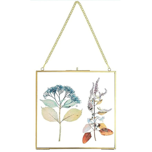 Nouvelle Arrivée Très Demandée : Cadre Photo Carré Mural Décoratif en Verre Transparent avec Bordure en Laiton pour Fleurs Pressées - Product Image 5