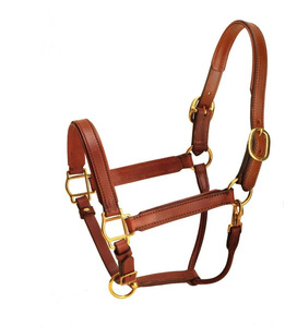 Cabestro de Cuero Occidental para Caballo con Hebillas Ajustables, Herrajes Resistentes en Tono Plateado, para Equitación, Entrenamiento en Rancho y Establos, y Exposiciones - Product Image 1