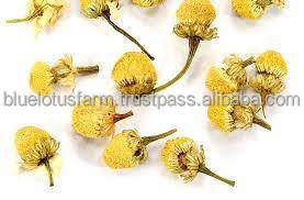 ดอกคาโมไมล์เดซี่แห้ง - Product Image 2