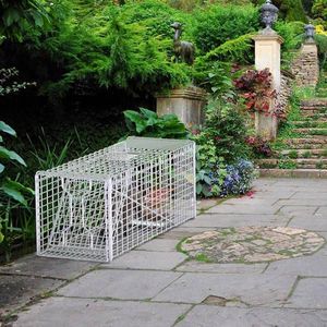 Trampa de malla galvanizada de alta resistencia de 37x14x15 pulgadas para animales vivos, con pedal sensible y puerta de liberación trasera, suministros para animales pequeños - Product Image 2