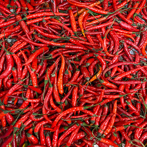 Chiles Rojos Secos de Primera Calidad, Secados al Aire (AD), Picantes, Sin Tallo, Estándar de Exportación, Especias y Hierbas Individuales FitTree - Product Image 6