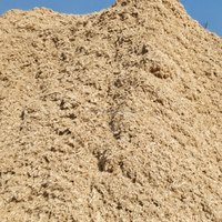 Bagasse de canne à sucre du Vietnam, matériau en fibre naturelle pour l'alimentation des chevaux et des bovins, qualité A