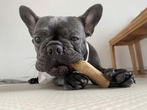Jouet à mâcher en bois de café pour chien, toutes tailles, bâtonnet à mâcher dentaire, taille personnalisée pour tous les âges, jouet d'entraînement pour animaux de compagnie pour la sécurité des dents - Product Image 1