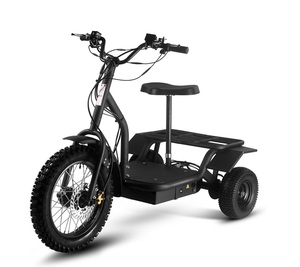 Venta al por Mayor de Triciclos Eléctricos M-o-t-o-t-e-c Personalizados de 48v 1200w, Disponibles para Envío Inmediato - Product Image 1