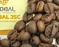 Grains de café torréfiés de qualité supérieure 100% naturels sans additifs Choix de boisson saine pour les distributeurs internationaux
