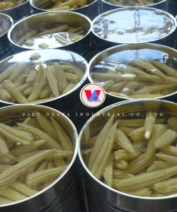 Maïs en conserve de qualité supérieure - Maïs jeune frais entier en saumure pour restaurants et traiteurs - Product Image 6