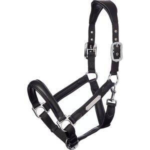 Cabestro de Cuero para Caballo con Hebillas Metálicas, Ajustable, Collar Ecuestre Negro - Product Image 1