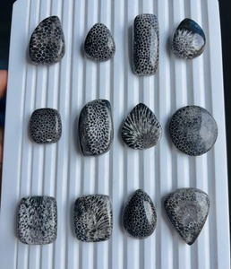 Vente en gros de cabochons de corail noir fossile naturel de haute qualité – Pierre précieuse de corail agatisé pour bijoux féminins - Product Image 1