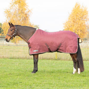 Couvertures pour chevaux durables, nouveau style, protection estivale / couvertures anti-mouches pour chevaux - Product Image 4