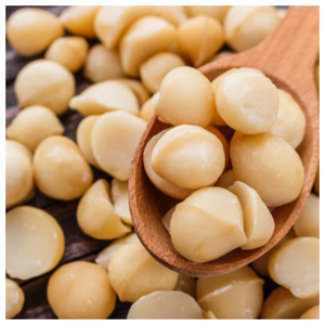 Nueces de macadamia de alta calidad grado A con cáscara, crudas, origen estadounidense, alimento seco saludable disponible a precio mayorista para venta al por mayor. - Product Image 4