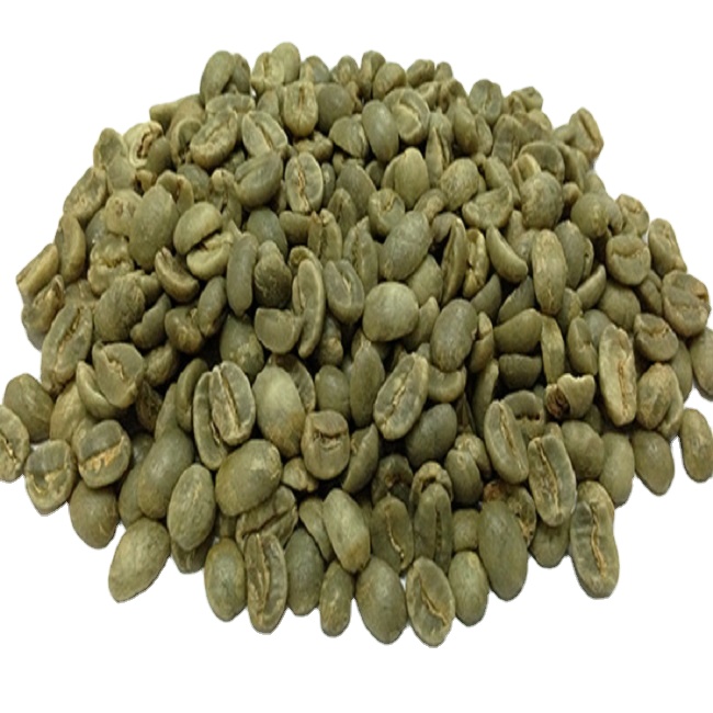 Unroasted good quality Robusta coffee beans