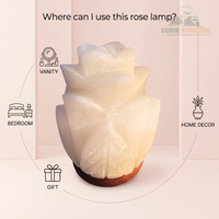Lampe en sel rose cristallin blanc sculptée à la main avec base en bois, décoration romantique pour la maison et cadeau lumineux
