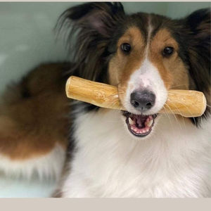 EXPAD Bâtonnets à mâcher en bois naturel pour chiens, taille moyenne, durables, écologiques, pour le nettoyage des dents, jouets interactifs pour animaux de compagnie, utilisation en intérieur, simples - Product Image 1