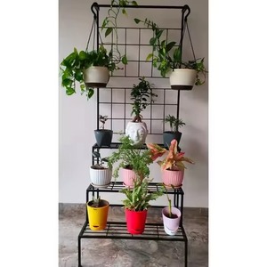 Soporte para Plantas de Madera Curvada en Forma de Media Luna, de Varias Niveles, con Pedestal Escalonado, Marca Prime Wholesale Preferred Choice - Product Image 4