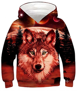 Sudadera con Capucha Casual para Niños, Otoño 2026, Cálida, Elegante, a la Moda, de Manga Larga, con Estampado de Dibujos Animados, para Niños y Niñas, Venta al Por Mayor - Product Image 1