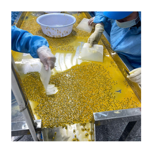 TENDANCES ACTUELLES Purée de fruit de la passion congelée sans pépins pour l'industrie des boissons Offre en gros - Product Image 5