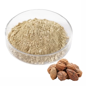 Harad en polvo 100% puro a granel, polvo de fruta Haritaki de grado alimenticio para la digestión y desintoxicación, polvo de Haritaki premium de la India - Product Image 4
