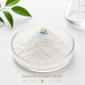 Suministro directo de fábrica de HGO, extracto de té verde natural puro (grado alimenticio) 40% 50% 90% 95% 98% EGCG (extracto estandarizado) - Product Image 1