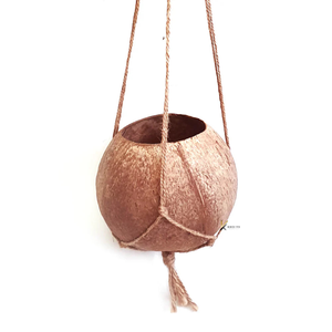Maceta de Coco Vietnamita Tallada a Mano de Alta Calidad, Ecológica, para Decoración del Hogar y Jardín, Muestra Gratis - Product Image 1
