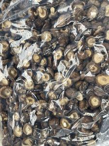 Hongos Shiitake secos enteros para sopa OEM Embalaje a granel Cultivado Seco Xianggu Shiitake Seta Comida vegetariana - Product Image 6