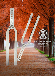 ส้อมเสียงจูนขนาดใหญ่ DNA Key – ความถี่สองด้าน D 528Hz และ A 432Hz (ขนาดใหญ่) - Product Image 6