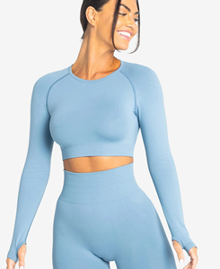 XL Size Women's Light <b>Blue</b> Long Sleeve <b>Crop</b> <b>Top</b> Solid Color Mesh Panel Seamless Yoga <b>Top</b> Breathable Skinny Fit Workout Wear - Product Image 2