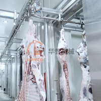 Machine à laver les carcasses de bétail pour ligne d'abattage