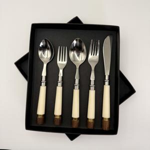 Juegos de Cubiertos de Acero Inoxidable de Alta Calidad con Acabado Espejo y Mangos de Resina para Uso en el Hogar y Fiestas al Precio Más Bajo en India - Product Image 1