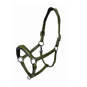 Licol en cuir véritable sur mesure, style anglais, finition cousue, ferrures en laiton nickelé, embout de nez rembourré - Product Image 1